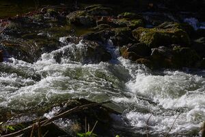 Toplitzbach 77683 2014-11-03.jpg