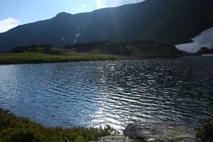 Untere riednersee 65360 2014-06-26.jpg