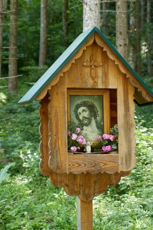 BST ennsbaum-0227-2025-06-18.jpg