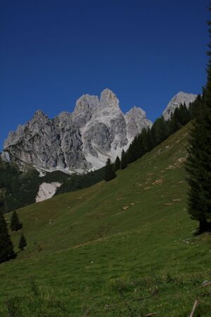 Bischofsmütze 36828 2011-09-11.jpg