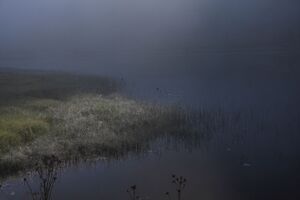 Bodensee 30248 2011-08-02.jpg