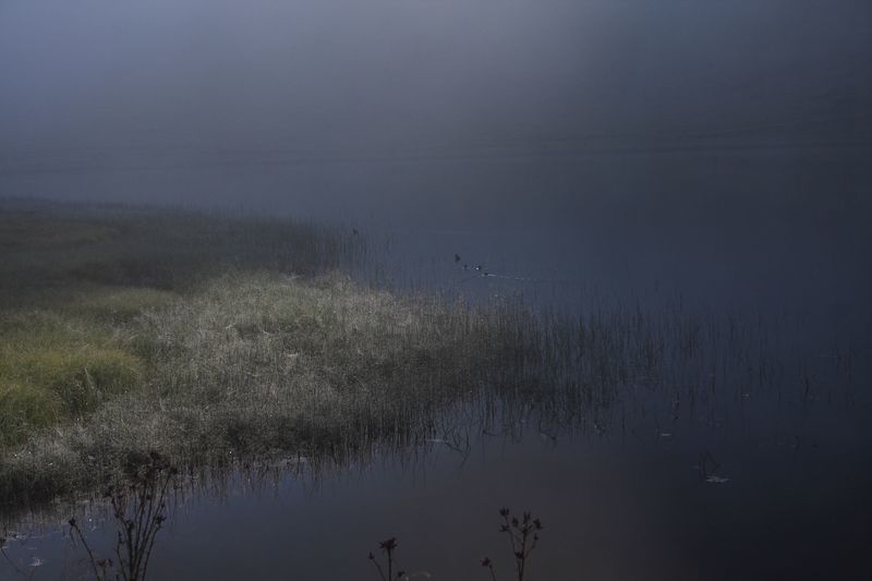 Datei:Bodensee 30248 2011-08-02.jpg