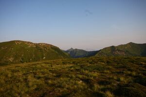 Breiteckkoppe 1032 13-08-06.jpg