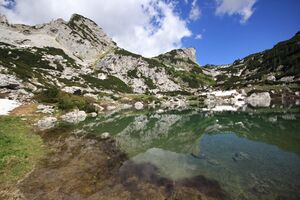 Dreibrüdersee 77421 2018-06-04.jpg