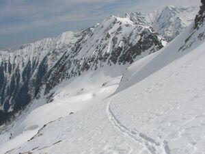 Duisitzkar 3918 2007-03-30.jpg