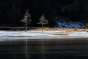 Duisitzkarsee 14380 2011-11-30.jpg