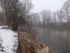 Ennsau Wörschach1010827.JPG