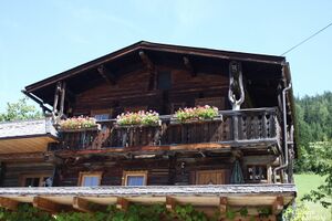 Feichtlhof-ramsau01 3140.jpg