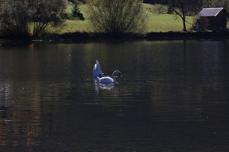 Datei:Grundlsee See 77982 2014-11-03.jpg