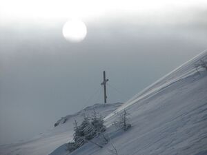 Guschen 46891 2006-02-27.jpg