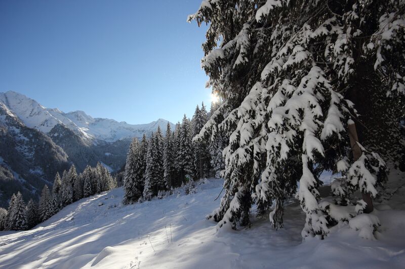 Datei:Obere alpstegalm-1000-2018-11-28-2.jpg