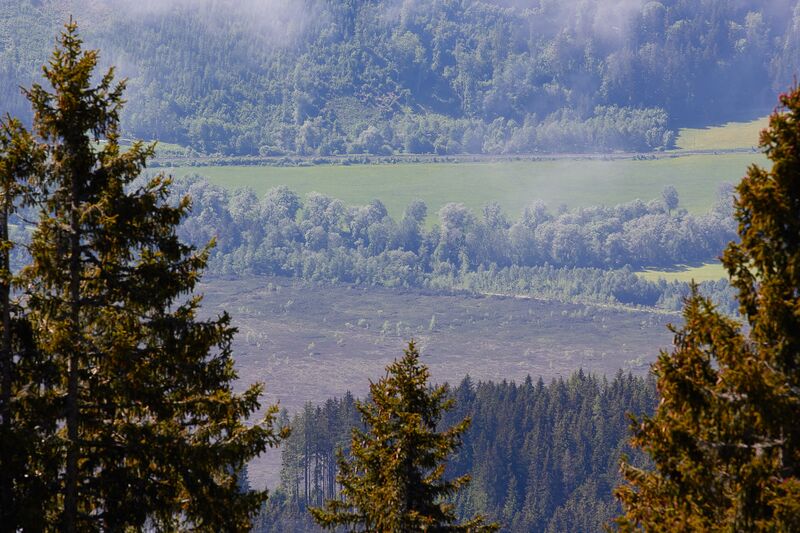 Datei:Pürgschachener Moor-3010308-2022-05-31.jpg