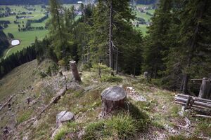 Predigtstuhl-ramsau 2143 13-09-22.jpg