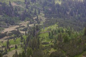 Sabinkar 89869 2015-06-08.jpg