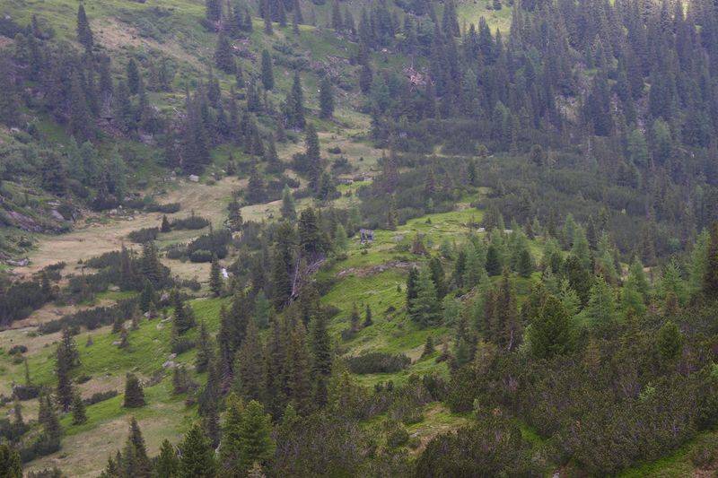 Datei:Sabinkar 89869 2015-06-08.jpg