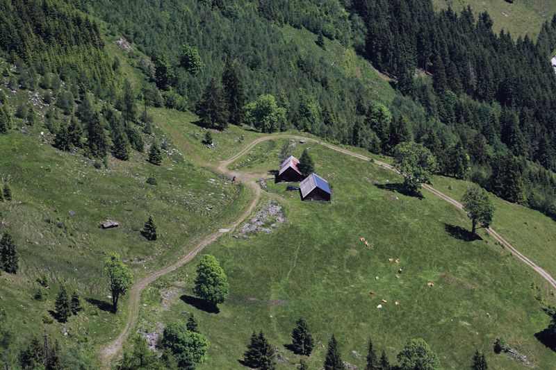 Datei:Seewaldalm -labeck 49487 2017-06-09.jpg