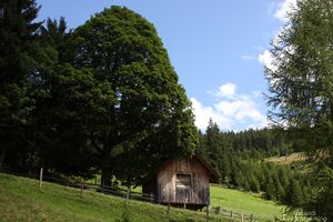 Spindleggerhof 0001.jpg