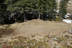 Strickerkar 55668 2014-05-02.jpg