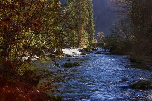 Toplitzbach 77679 2014-11-03.jpg