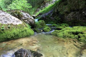 Zimitzbach grundlsee 77281 2018-06-04.jpg