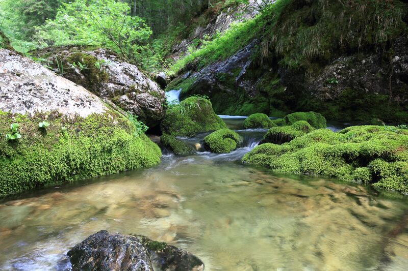 Datei:Zimitzbach grundlsee 77281 2018-06-04.jpg