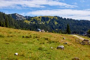 Bärenfeichtenalm-3153-2021-08-03.jpg