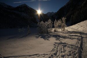 Bodensee 26487 2014-01-01.jpg