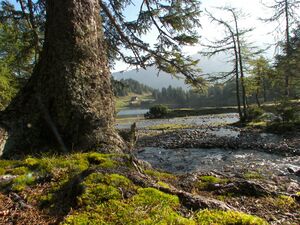Duisitzkarsee 18150 2006-09-21.jpg