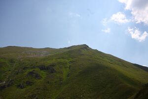 Glatt 1162 13-08-06.jpg