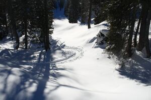 Große wiesmahd 97967 2015-01-13.jpg