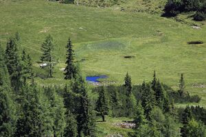 Gumpenkar 53198 2017-07-05.jpg