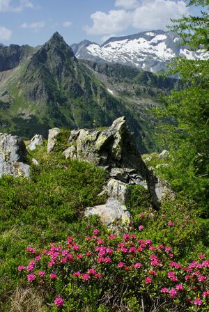 Im Hüttkar 39583 2012-06-29.jpg