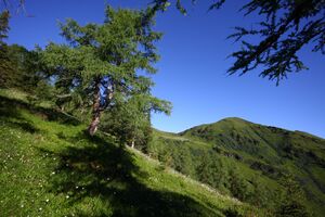 Klockalm 57764 2015-07-11.jpg