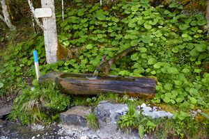 Kropfbrünnl gseis-2000-2021-05-26.jpg