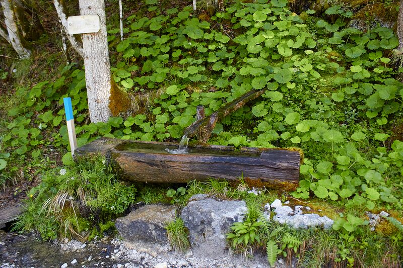 Datei:Kropfbrünnl gseis-2000-2021-05-26.jpg