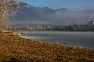 Putterersee - winter 17083 2013-12-23.jpg