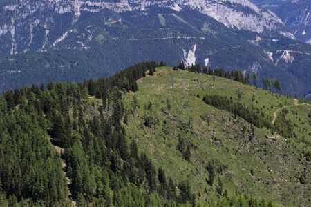 Schwarzkogel -niederlabeck 49642 2017-06-09.jpg