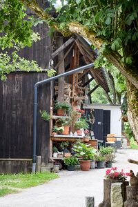 Stadlmann vlg lippebner-0726-2023-06-16.jpg