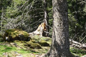 Strickerkar 55673 2014-05-02.jpg