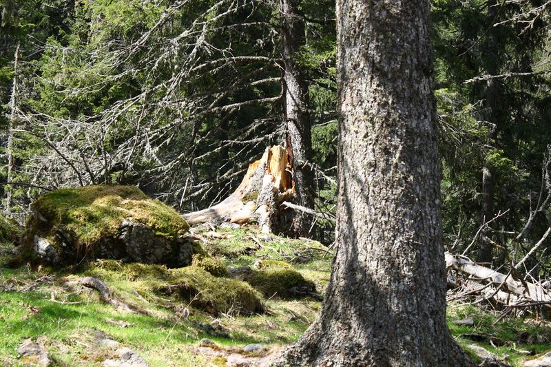 Datei:Strickerkar 55673 2014-05-02.jpg