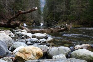 Strubschlucht 34677 2014-01-20.jpg