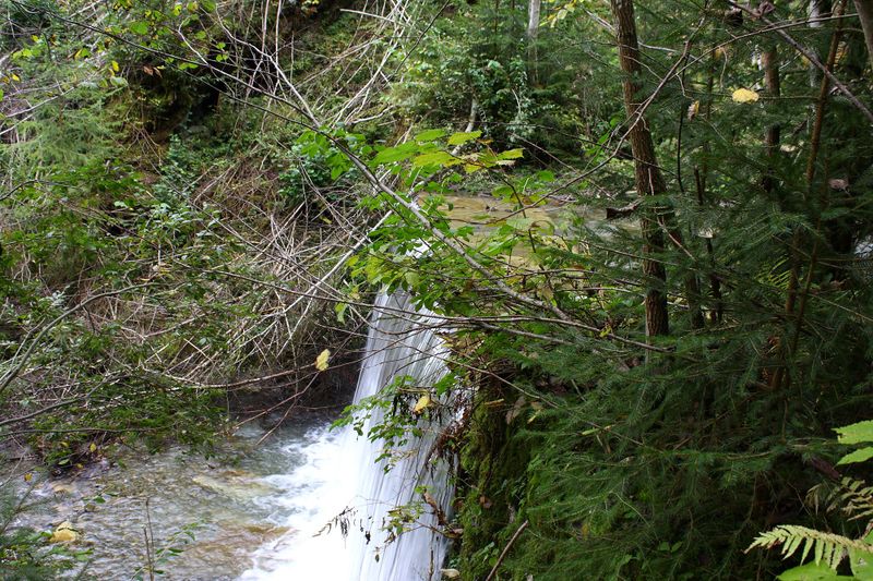 Datei:Teufelsschlucht Seewigtal 73300 2014-10-02.jpg