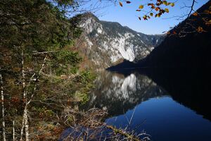 Toplitzsee 78167 2014-11-03.jpg