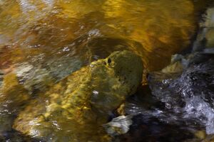 Ursprungbach 36293 2011-09-10.jpg