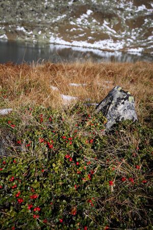 Weißensee knallstein 36416 2011-10-18.jpg