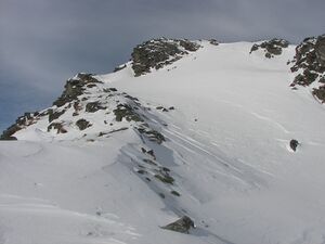 Wildkar 2438 2007-03-05.jpg