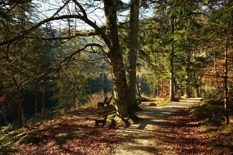 Datei:Ödensee 77963 2014-11-03.jpg
