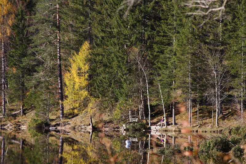 Datei:Ödensee 78052 2014-11-03.jpg