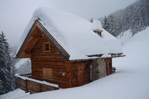 Adambauer-gumpeneck 5066 2013-02-09.jpg