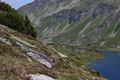 Giglachsee 1227 2011-06-22.jpg